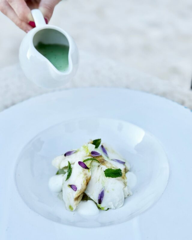 Arrosto di rana pescatrice su gazpacho di barattiere alla menta e yogurt: un piatto che celebra la freschezza, la delicatezza e l'eleganza della cucina mediterranea. 

Prenota un tavolo👇🏻
📞 +39 0831 091570 
✅ 𝗪𝗵𝗮𝘁𝘀𝗮𝗽𝗽 +39 351 896 9650

𝗟𝗘 𝗠𝗔𝗖𝗜𝗡𝗘 𝗋𝗂𝗌𝗍𝗈𝗋𝖺𝗇𝗍𝖾
📍c/o MASSERIA ANTOGLIA
Strada Masseria Antoglia, 29 - Villa Castelli (Br)
🌐 www.masseriantoglia.it
𝑺𝒊𝒂𝒎𝒐 𝒂𝒑𝒆𝒓𝒕𝒊 𝒂 𝒄𝒆𝒏𝒂 𝒅𝒂𝒍 𝒎𝒆𝒓𝒄𝒐𝒍𝒆𝒅ì 𝒂𝒍 𝒔𝒂𝒃𝒂𝒕𝒐 𝒆 𝒍𝒂 𝒅𝒐𝒎𝒆𝒏𝒊𝒄𝒂 𝒂 𝒑𝒓𝒂𝒏𝒛𝒐

#masseriaantoglia #ristorantelemacine#villacastelli #puglia #restaurant #ristorantiitaliani #ristorantiditalia #pugliafood #weareinpuglia #italianrestaurant #menu #chef #cheflife #CucinaMediterranea #Monkfish #Gazpacho #CucinaGourmet
